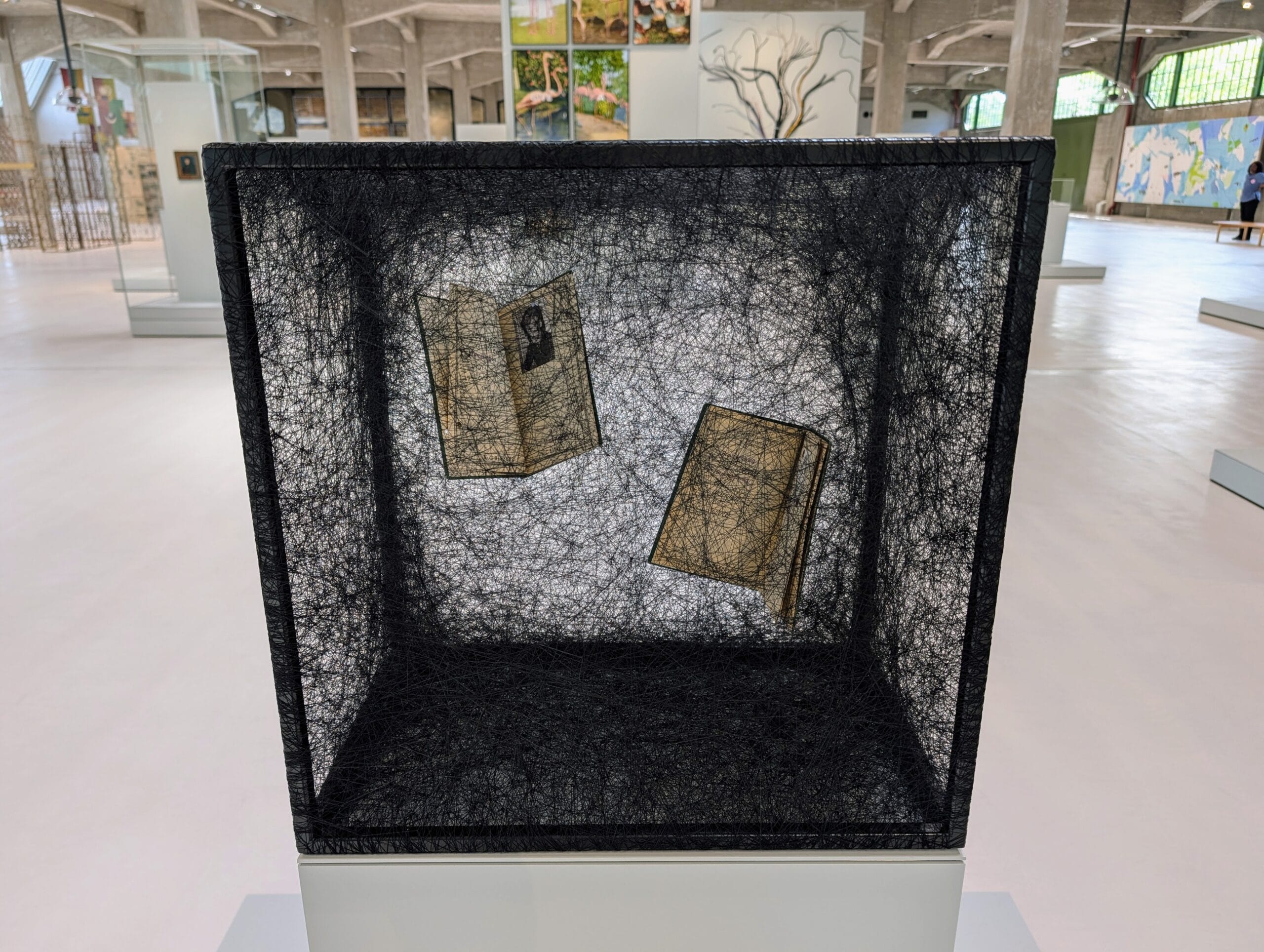 Een kunstwerk bestaande uit twee opengeslagen boeken die zweven in een kubus van dichtgeweven zwarte draden