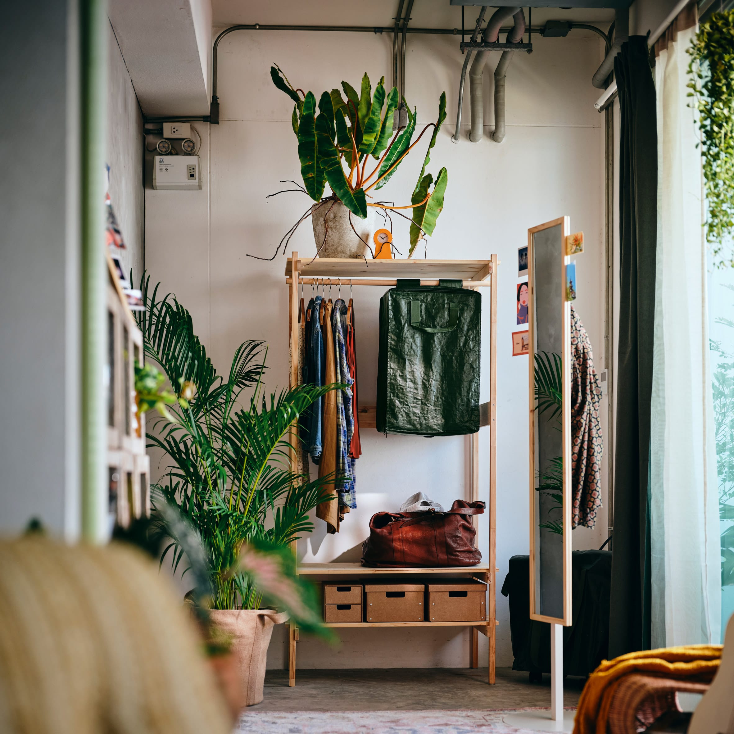 Houten kledingrek met hangende kleding, een groene rugzak-organizer, opbergdozen en een plant in een canvas pot