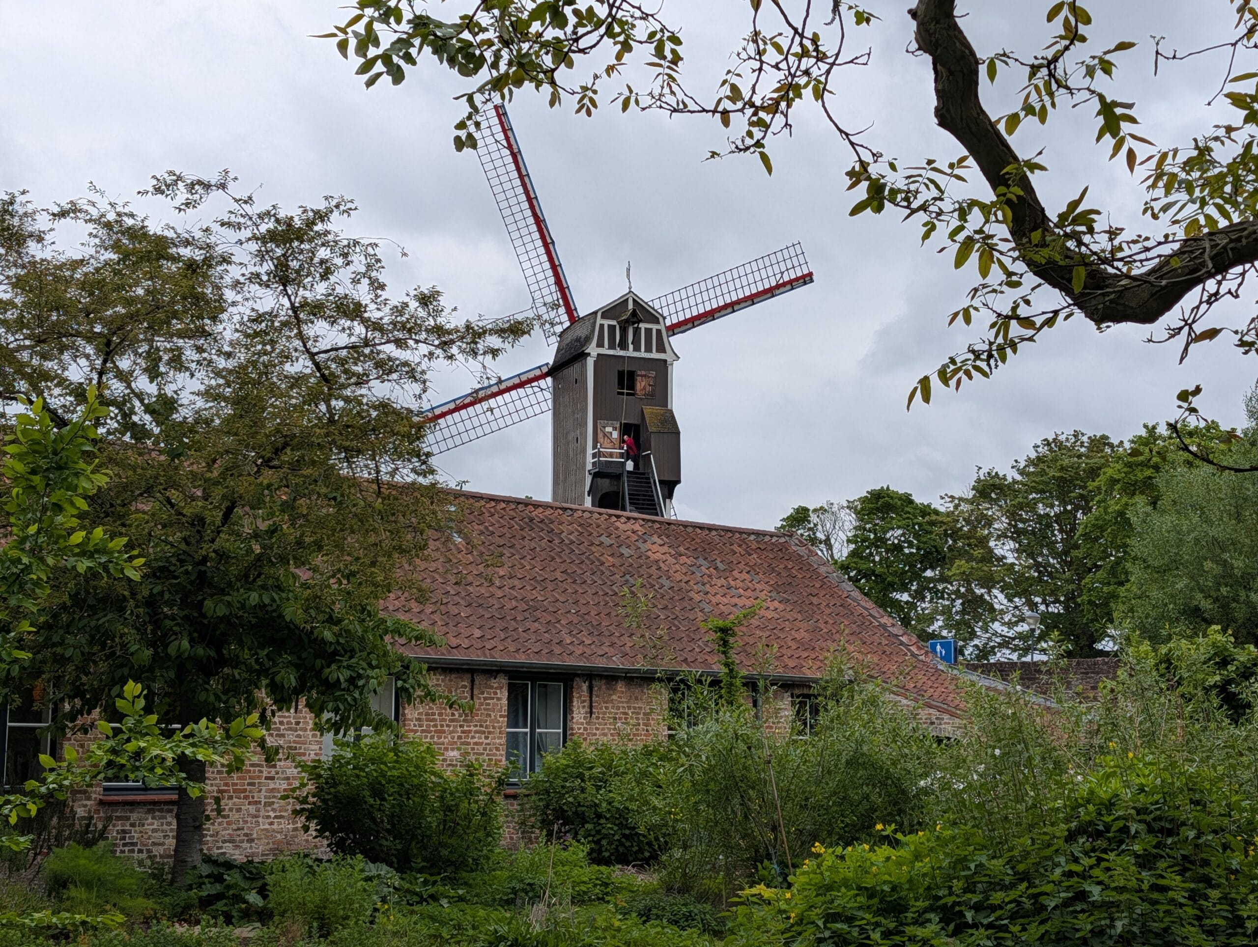 Houten standerdmolen met rood-wit-blauwe wieken boven een bakstenen gebouw met een pannendak