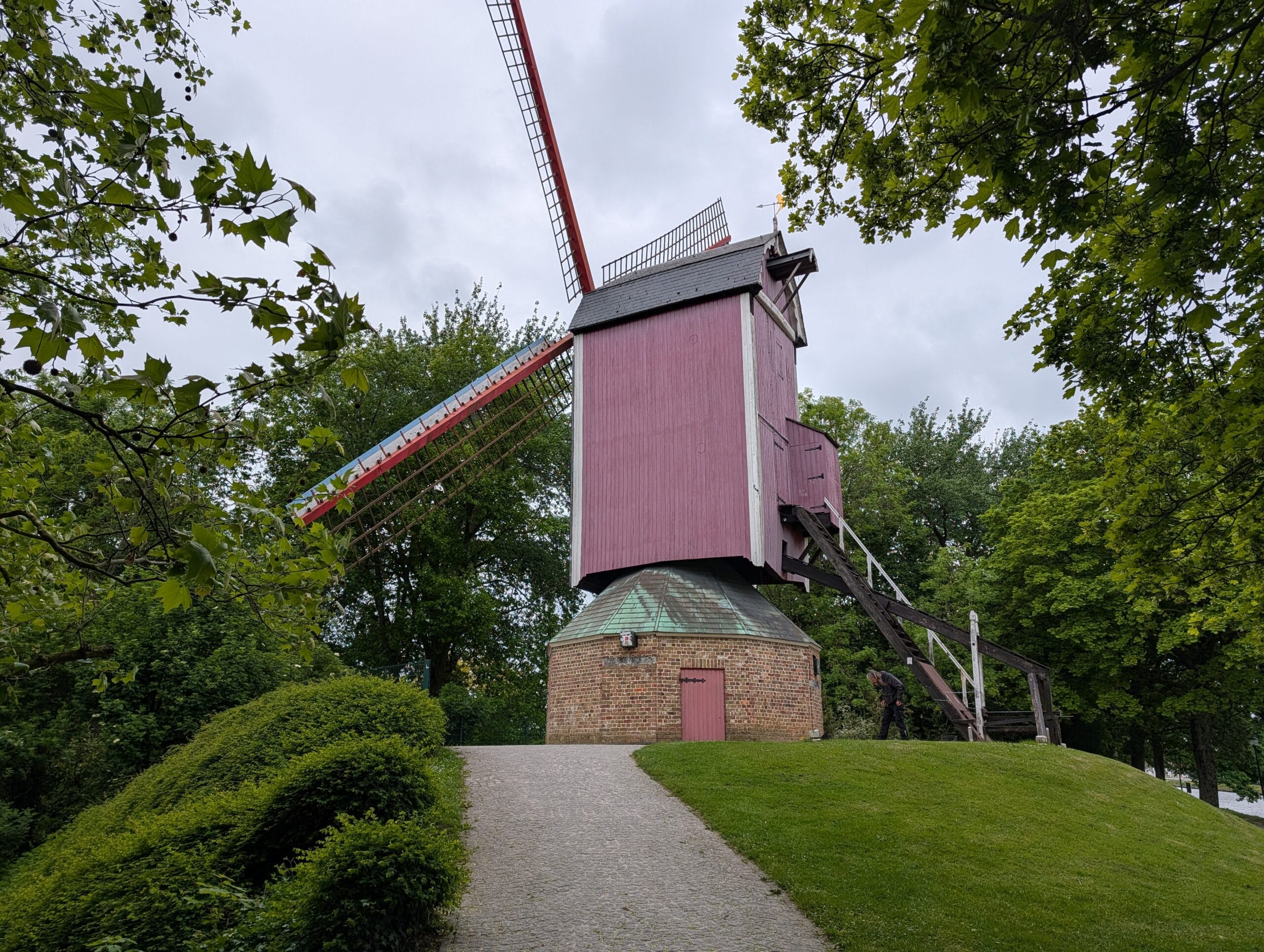 Een houten standerdmolen met een roze geverfde kast op een stenen voet, omgeven door groene bomen en een grasveld