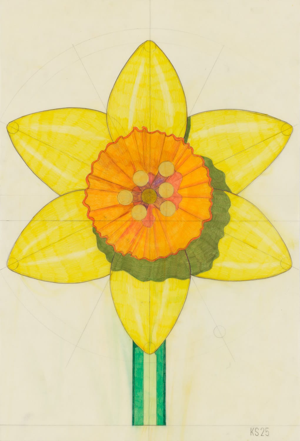 Geometrische tekening van een gele narcis met een oranje binnenzijde en zichtbare constructielijnen, het werk 198 door Kristof Santy