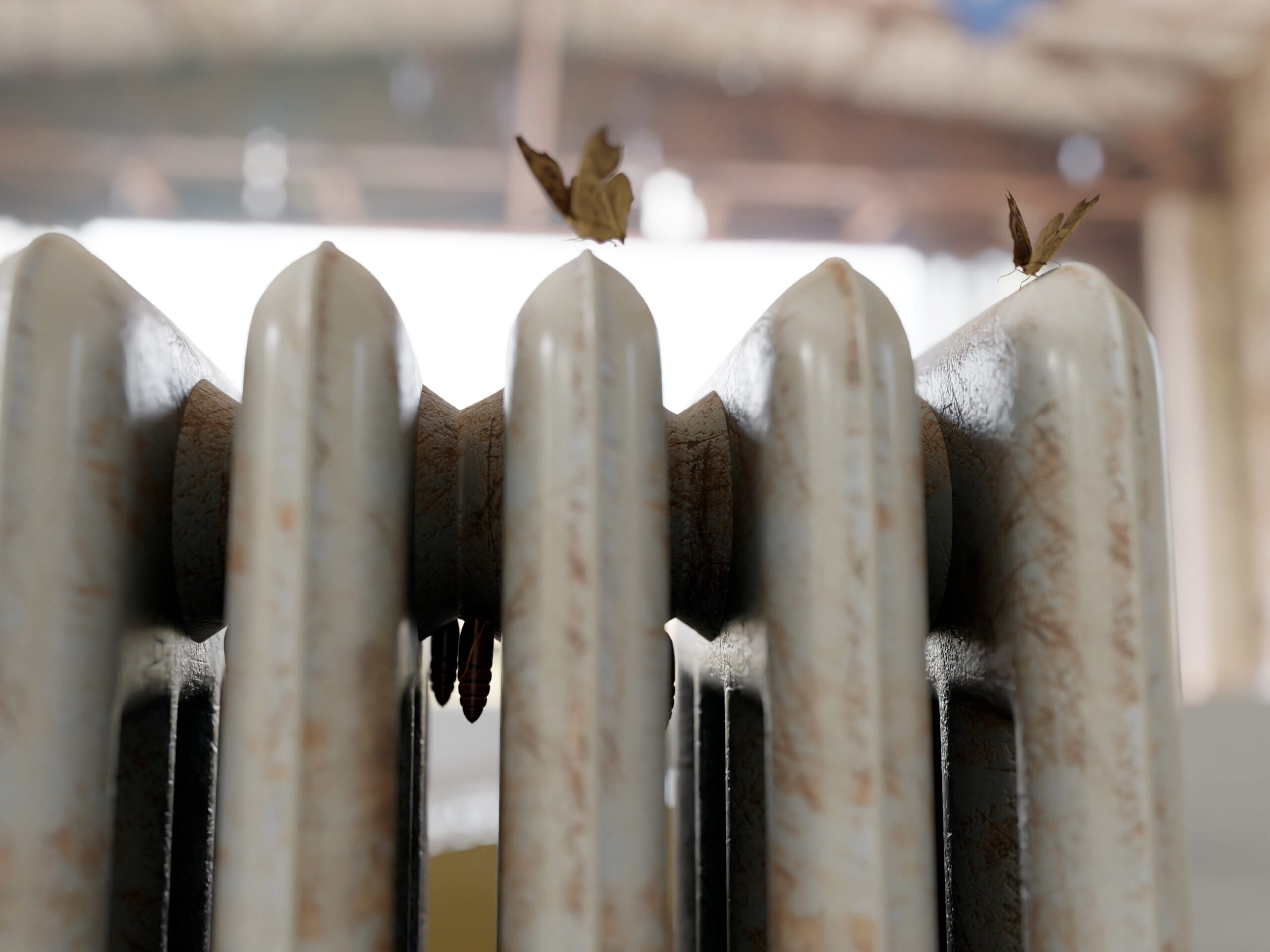 Close-up van een wit uitgeslagen radiator waarop twee bruine vlinders rusten en cocons tussen de ribben hangen