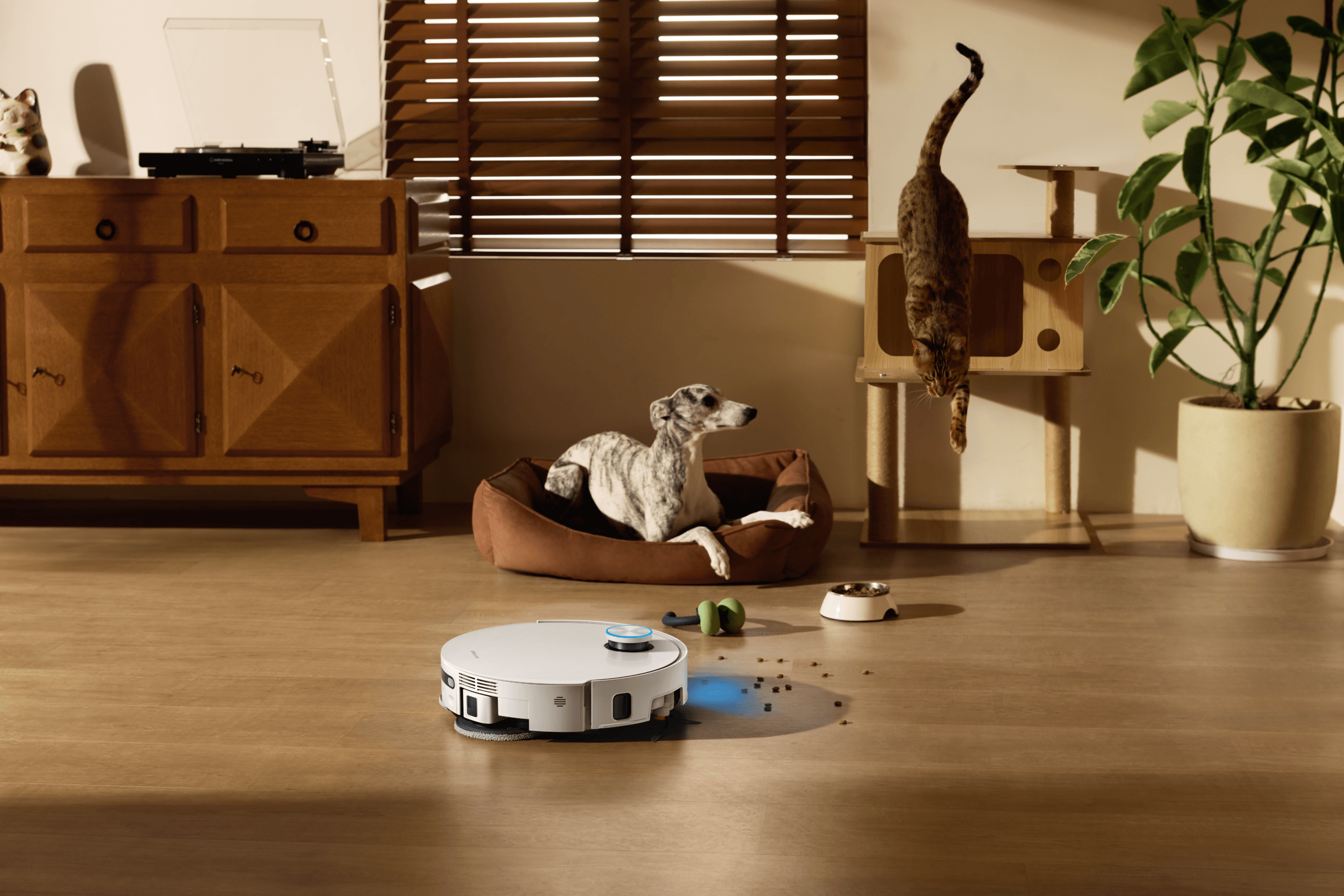 De Dreame robotstofzuiger herkent en ontwijkt obstakels zoals brokjes, een hond in een mand en een springende kat