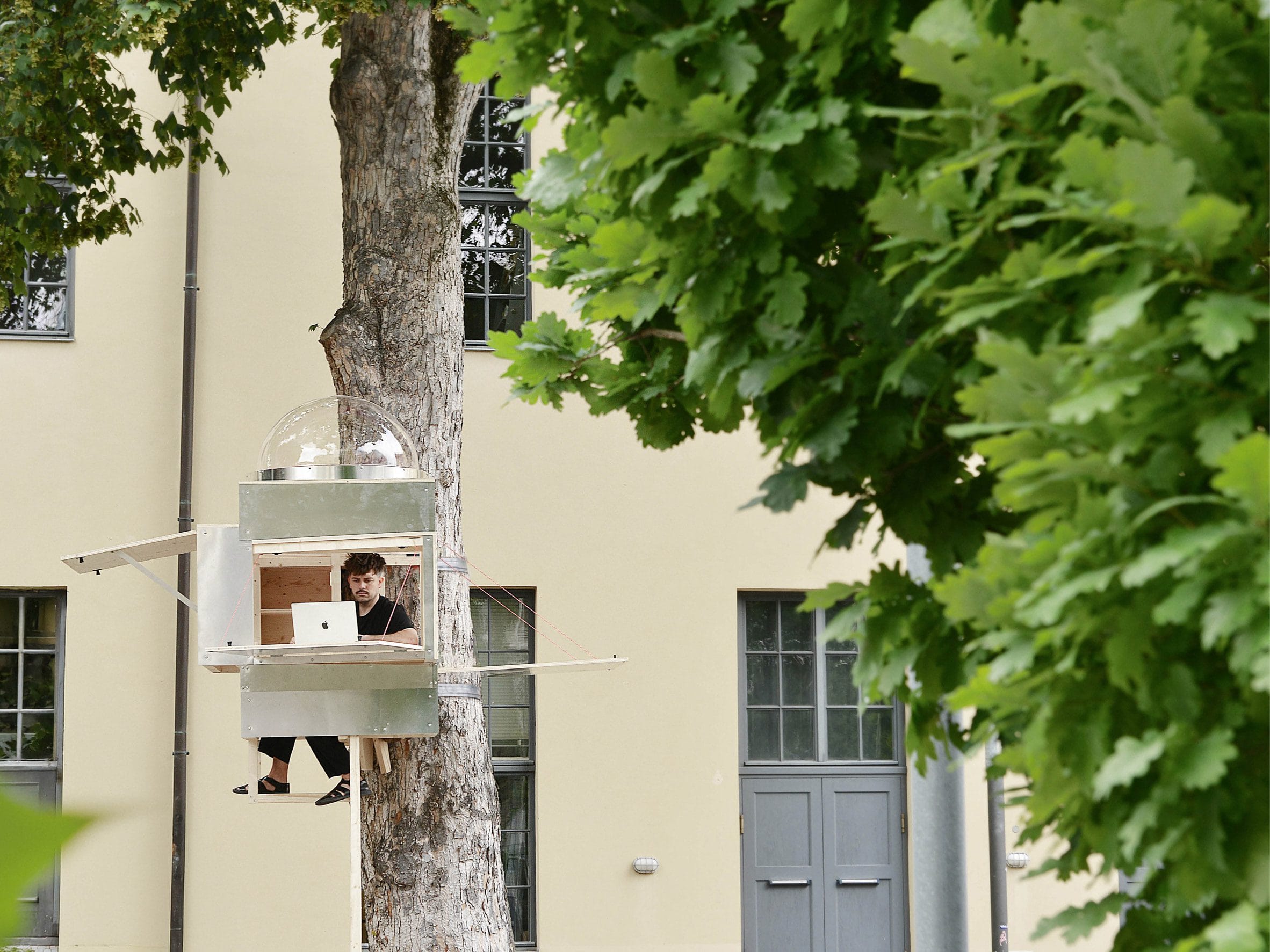 Man aan het werk op een laptop in het compacte Baumhaus Office dat aan een boomstam is bevestigd