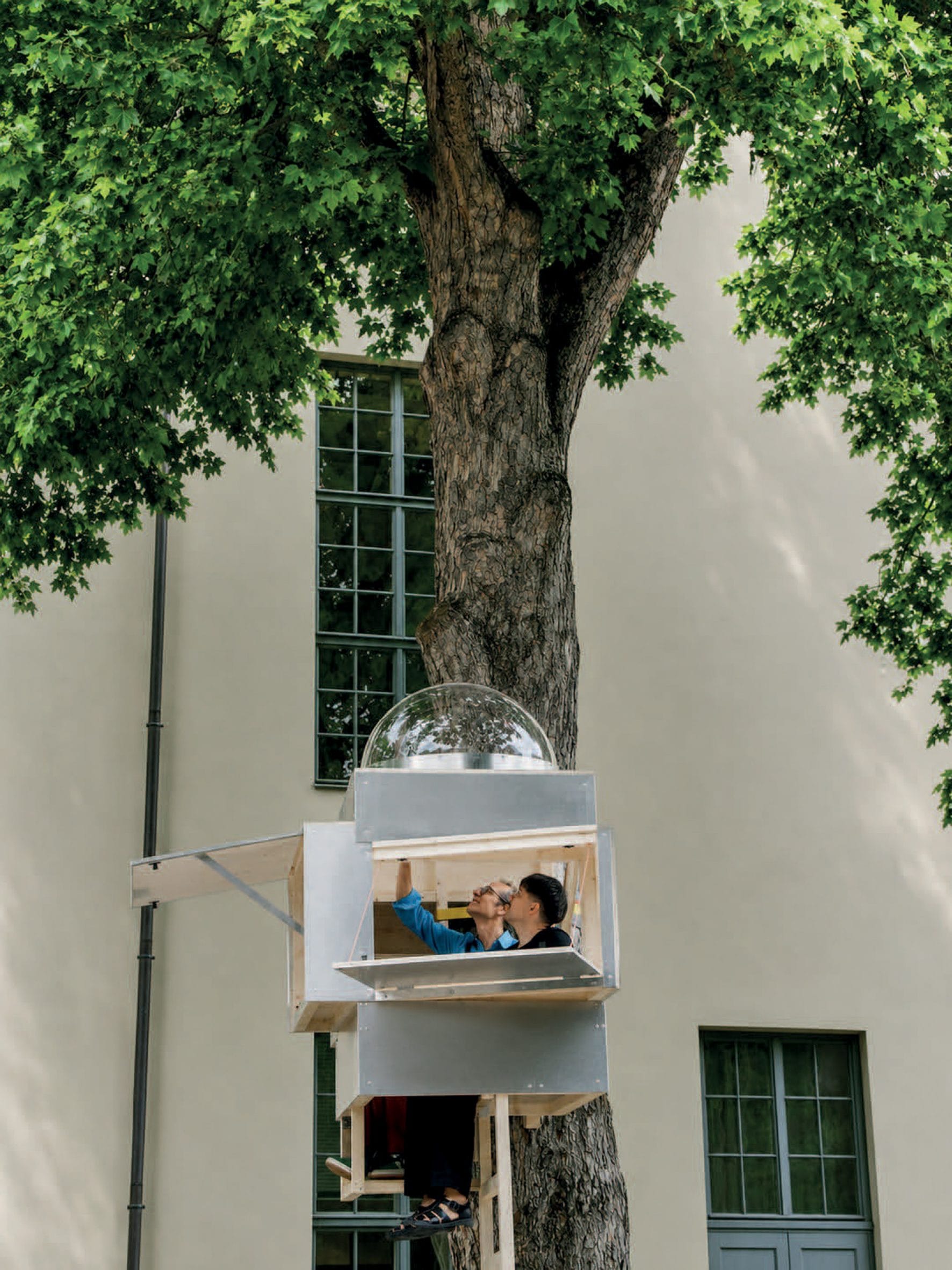 Twee mensen in het compacte Baumhaus Office met transparante koepel, bevestigd aan een boomstam