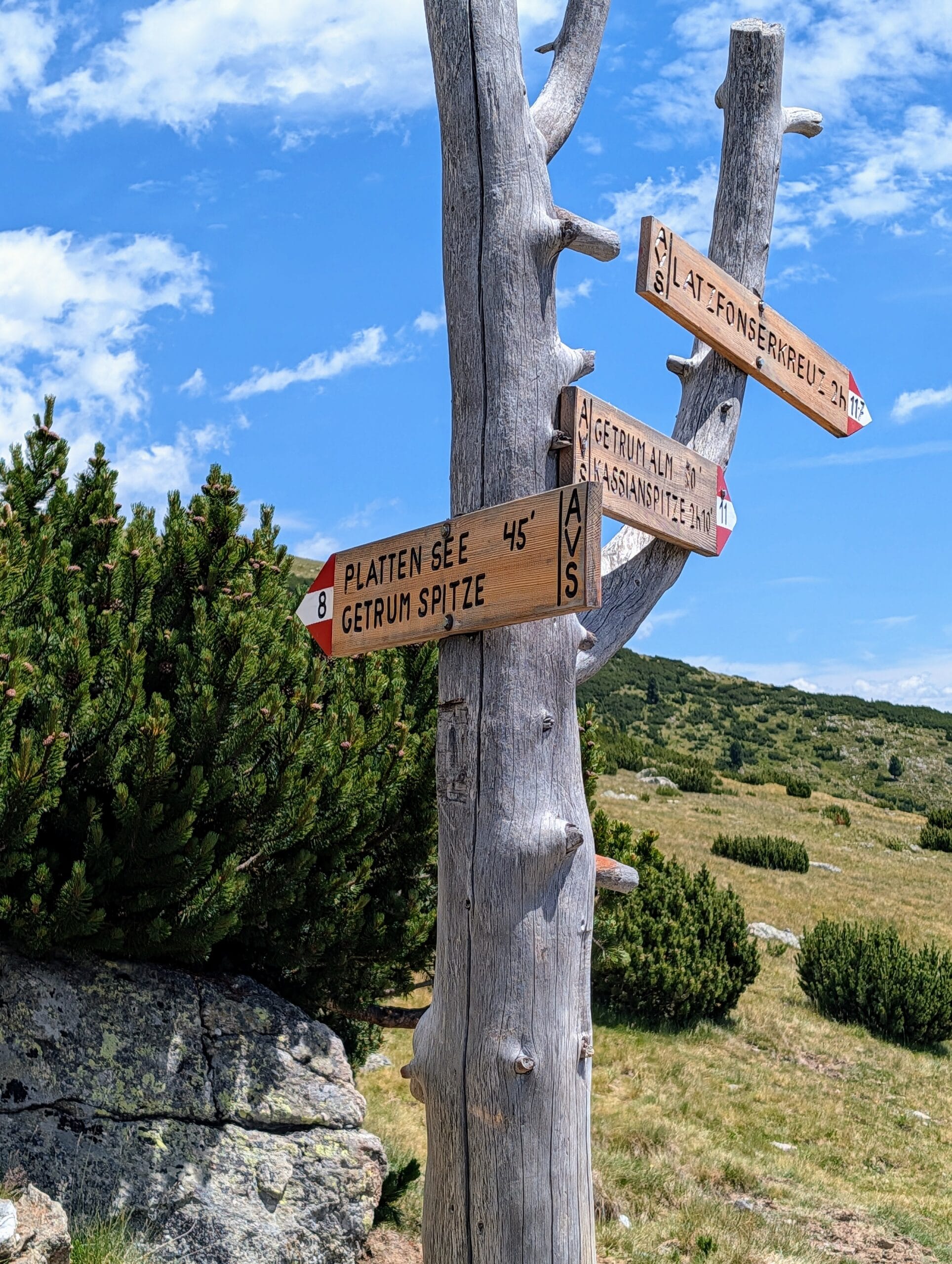 Houten wegwijzers op een boomstam voor wandelroutes naar onder andere de Plattensee en Getrum Spitze in het berglandschap