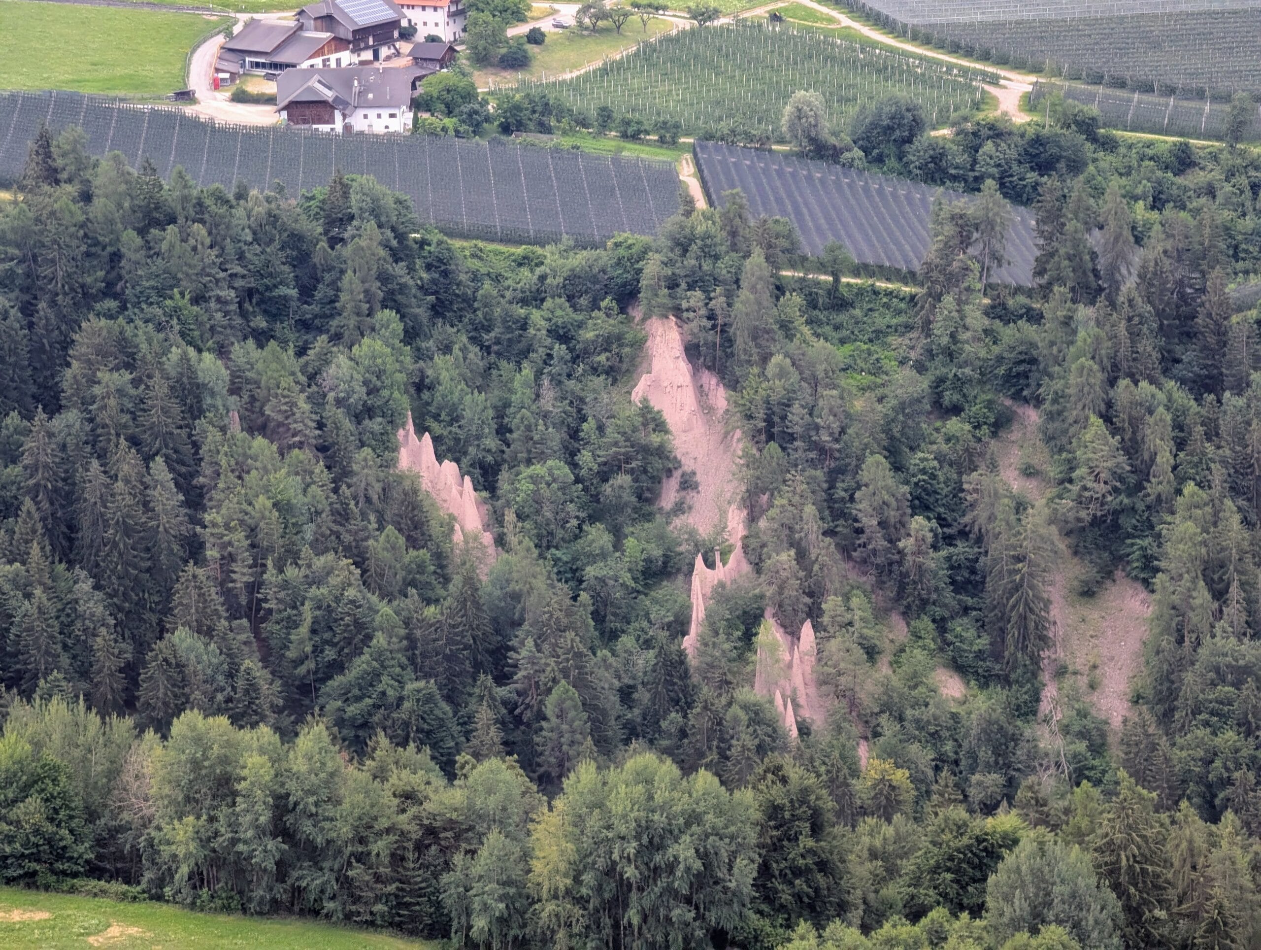 Puntige aardpiramiden tussen de bomen op de helling van het Ritten-hoogplateau