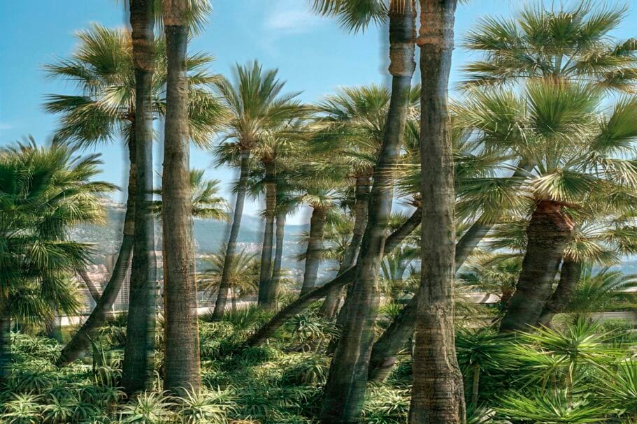 Werk Souvenir Monte Carlo van Ralf Brueck, Palmbomen en weelderige vetplanten tegen een helderblauwe lucht met bergen in de verte