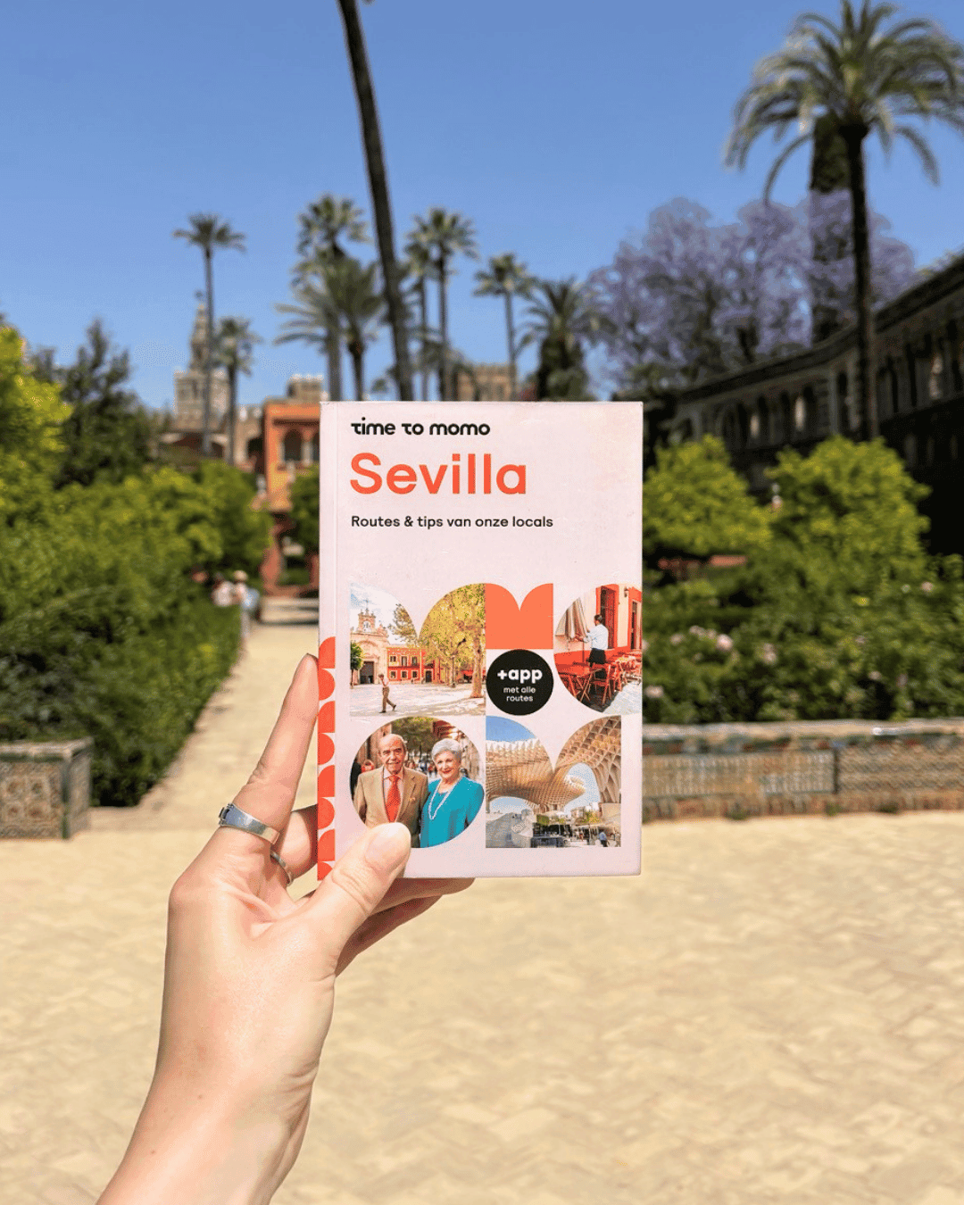 Hand die de Time to Momo-reisgids voor Sevilla vasthoudt in een zonnige Spaanse tuin