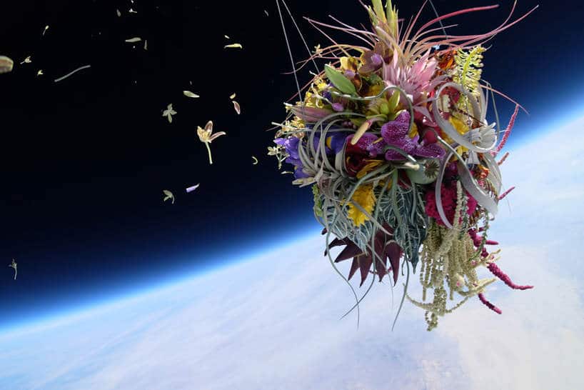 bloemen in de ruimte