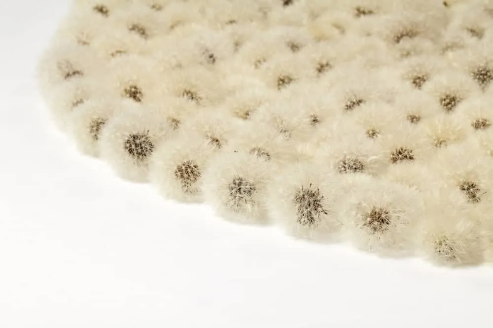 kunst met paardenbloemen