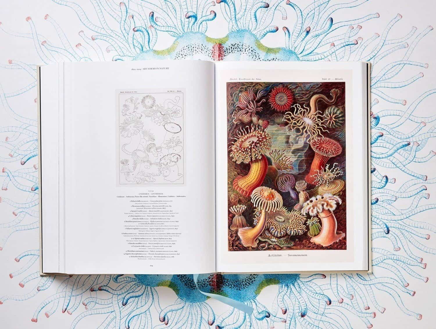 Boek met illustraties van Ernst Haeckel