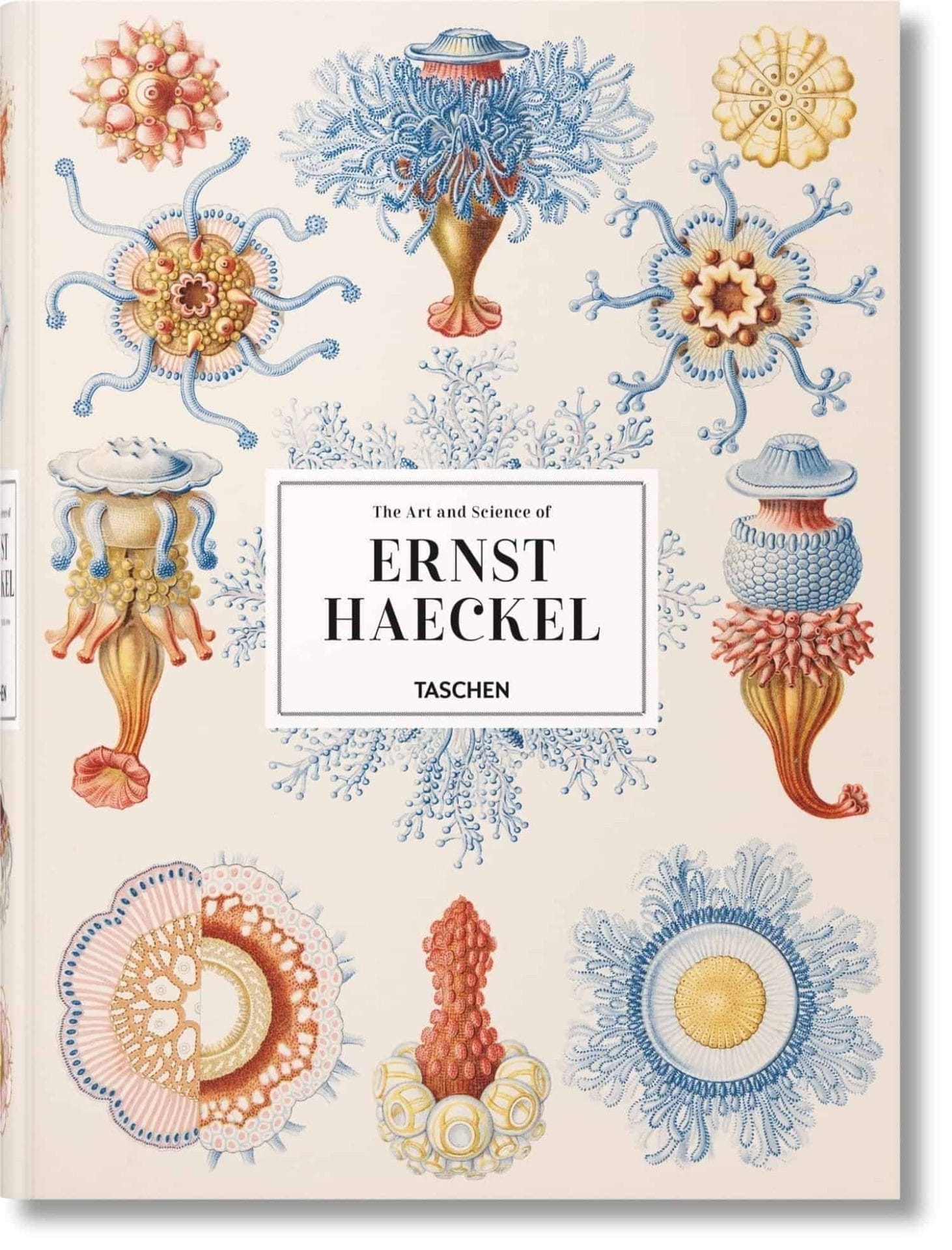 Kunst ontmoet wetenschap in het werk van Ernst Haeckel 50 Boek met illustraties van Ernst Haeckel