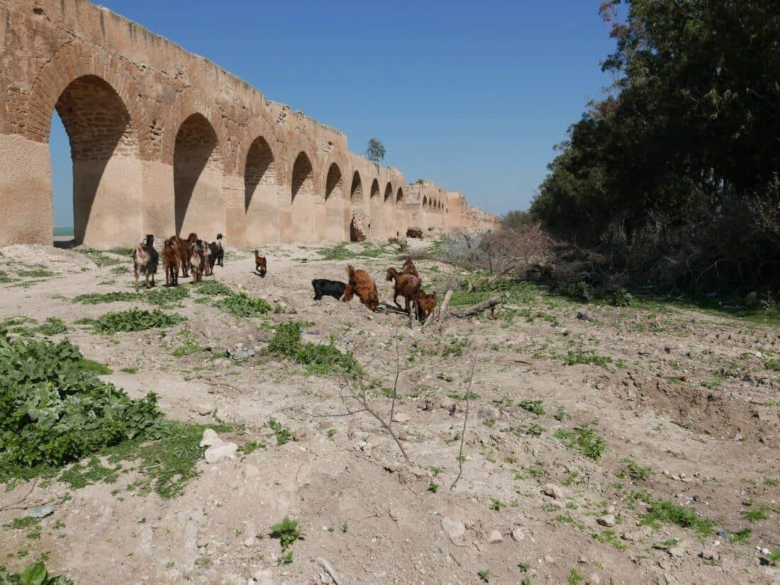 Het aquaduct richting Carthago