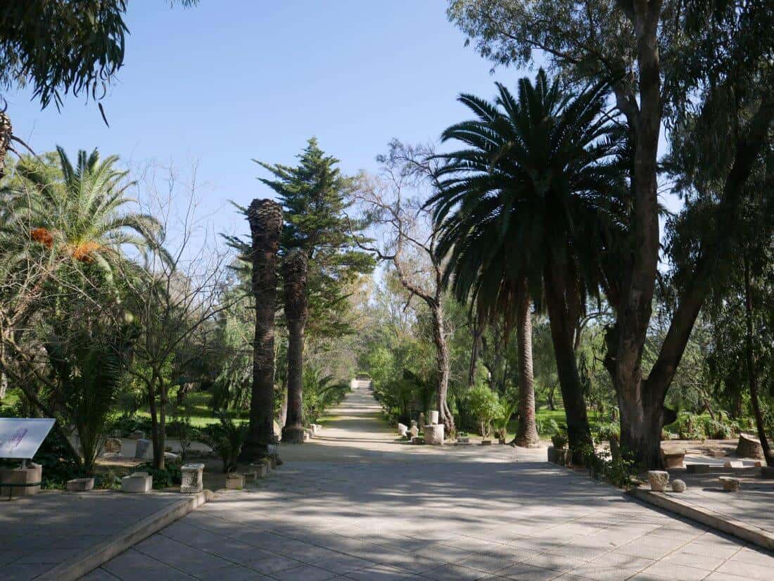 Park bij de Romeinse thermen van Carthago