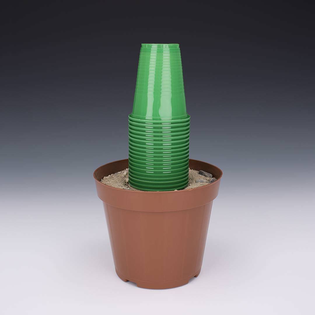 plastic plant
