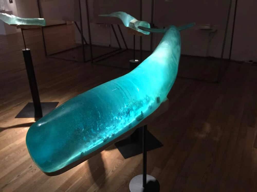 glazen walvis