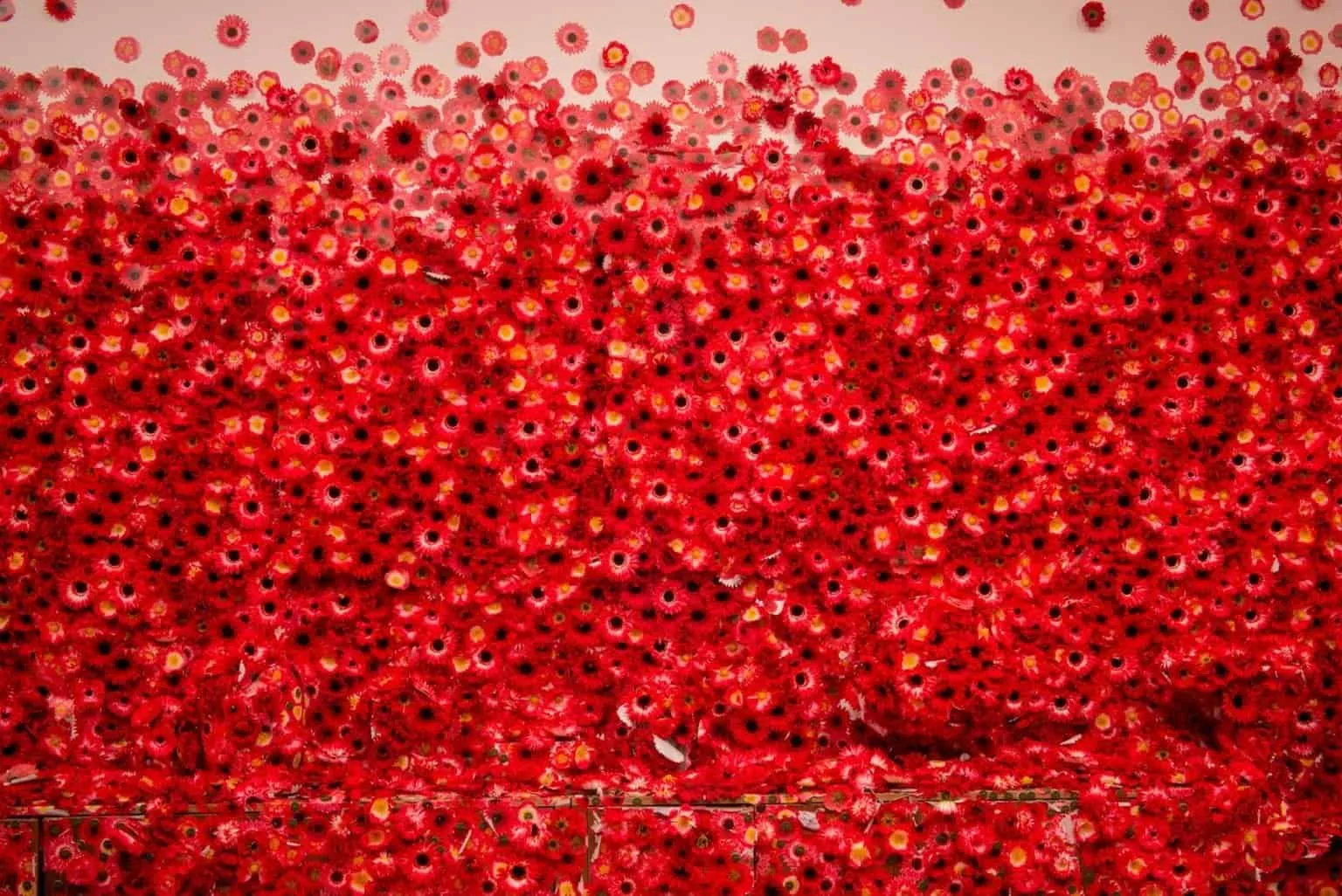 Yayoi Kusama laat bezoekers een kamer versieren 46 overal bloemen