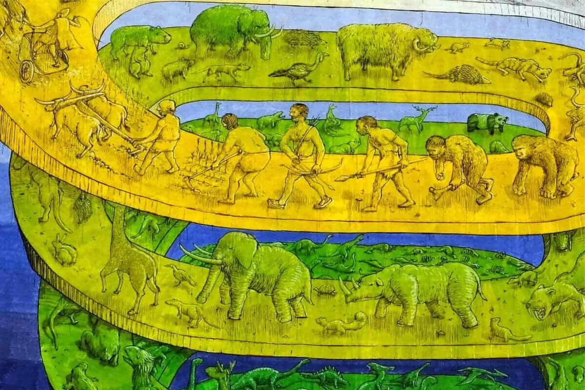 evolutie van de mens