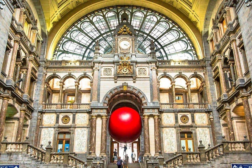 rode bal in Antwerpen