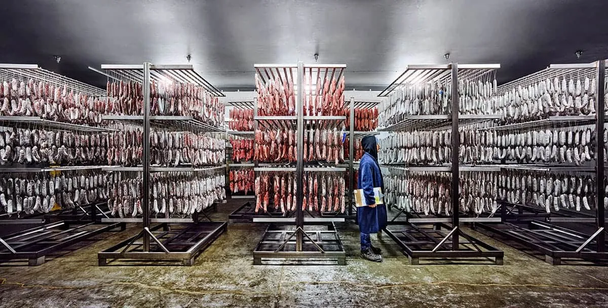 foto van Nick Franck