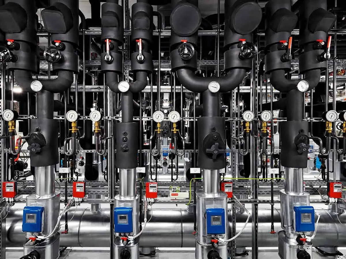 foto van Nick Franck