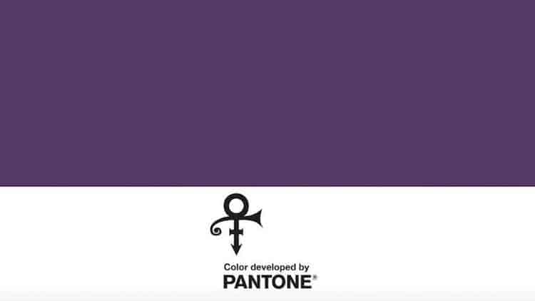 paars van Prince