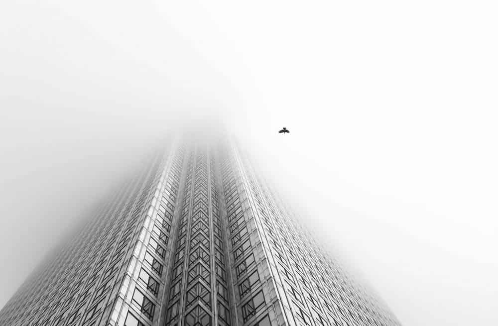 “Free Bird,” Londen, Engeland. Door Chaitanya Deshpande