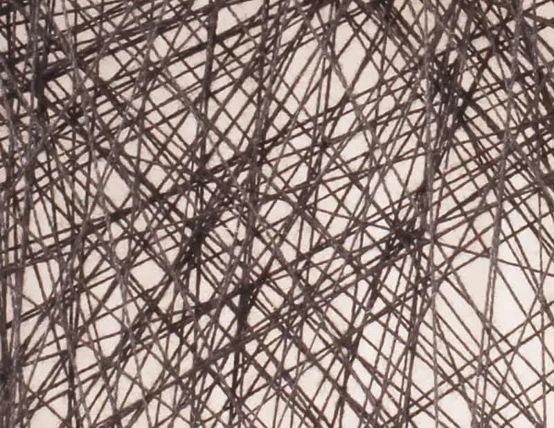 Deze portretten zijn gemaakt met 1 enkele draad 45 Portret van kunstenaar Petros Vrellis