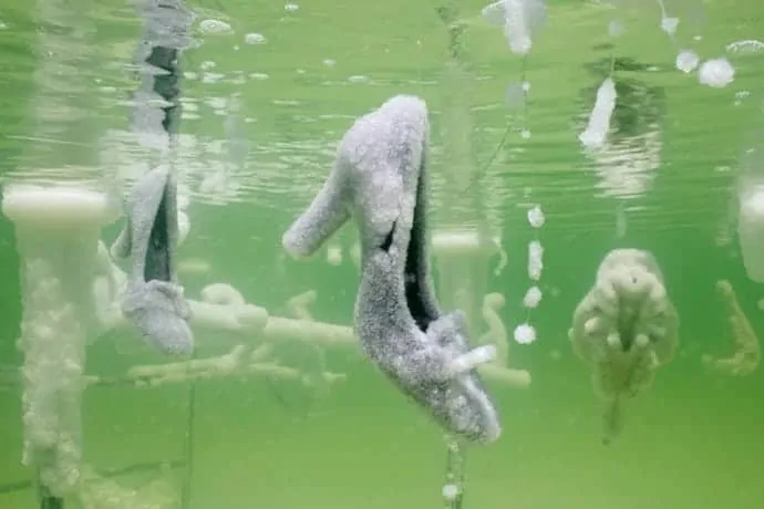 zoutsculptuur uit de Dode zee