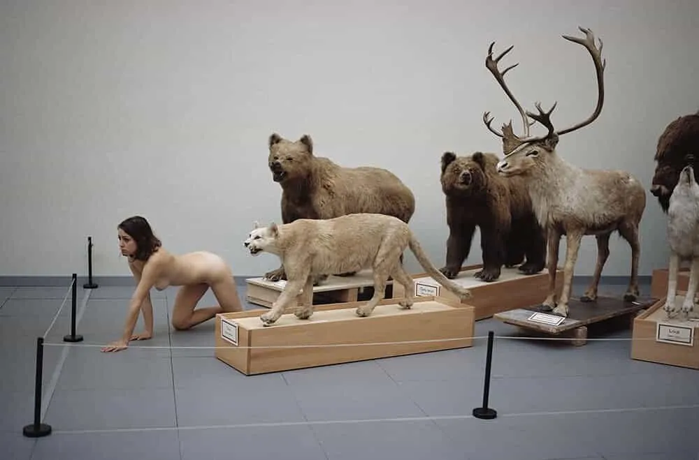 is een mens een dier?