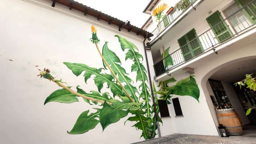 Langzaam groeiende muurschilderingen